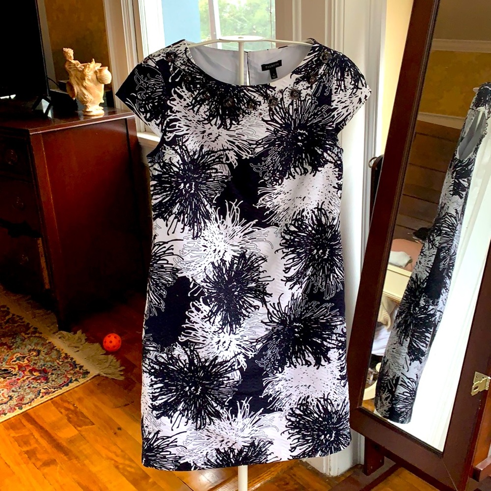 Talbots gorgeous cap‎ sleeves fireworks dress. NWOT